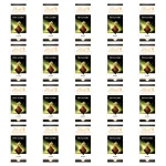 Lindt EXCELLENCE Pistachio 100g X20
