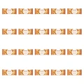 1773275518796-11421-2-x20-zcverg.png