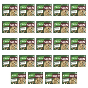 Knorr Bulion Bulion grzybowy na borowikach leśnych 3 l 60g X24