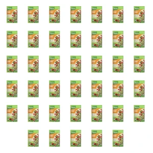 Knorr Sos sałatkowy Włoski 8 g X40
