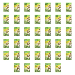 Knorr Sos Sałatkowy Czosnkowy - Mieszanka Przypraw do Sałatki na Grilla 8g X40