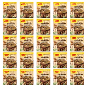 WINIARY Zupa borowikowa 44g X25