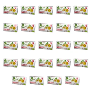 Bulion wołowy Biooaza 66g X24