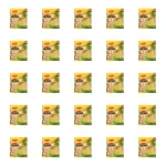 WINIARY Zupa Jarzynowa 48g X25