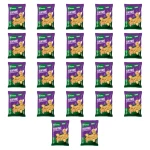 Knorr Teriyaki Noodles 65g X22