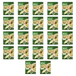 Knorr Sos pieczarkowy z cebulką 37g X22