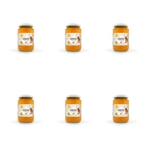1773269425395-2982-2-x6-pvsgos.png