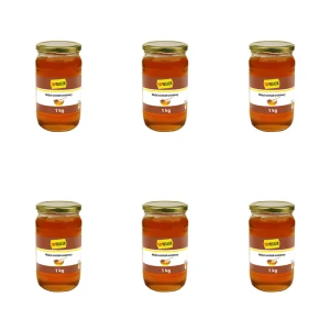 TOPSELLER Miód Wielokwiatowy 1 kg X6