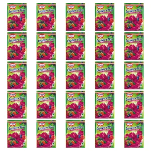 Dr. Oetker Galaretka o smaku owoców leśnych 72 g X25