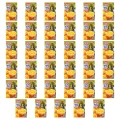 1773272309384-6740-2-x35-rntlkc.png