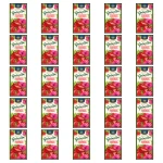 Kruger Desseria Galaretka smak truskawkowy z kwiatem hibiskusa 75g X25