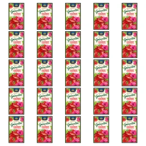 Kruger Desseria Galaretka smak truskawkowy z kwiatem hibiskusa 75g X25