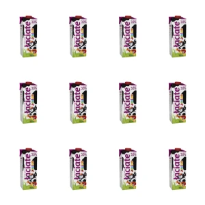 Mleko UHT Łaciate Junior 3,8% 1L X12