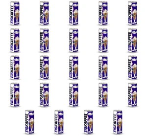 Kawa mrożona 250ml puszka Hochwald Dose X24
