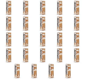 Eiscappuccino 250ml puszka Hochwald Dose X24