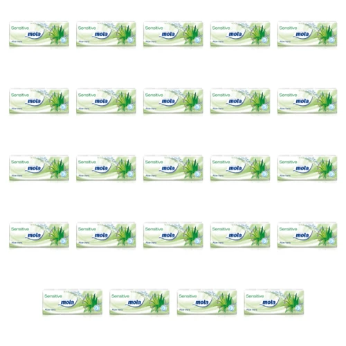 1773268648109-1924-2-x24-miosjc.png