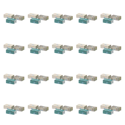 1773268651199-1929-2-x20-v9xk33.png