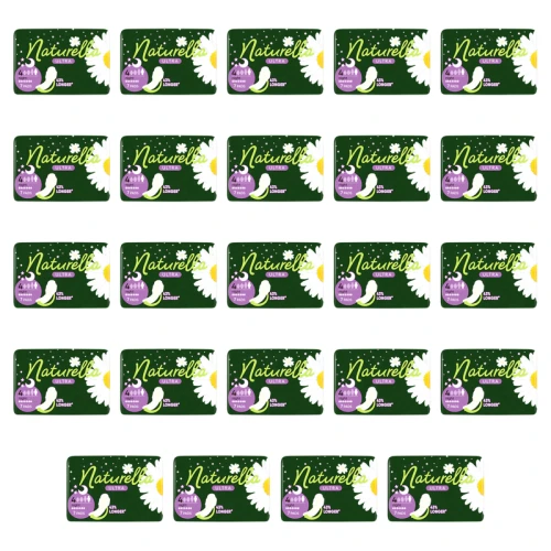 1773270278581-4097-2-x24-nuiqc.png