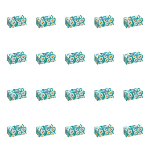 1773270281296-4101-2-x20-c4kwmr.png