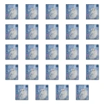 Cleanic Pure Cotton Podpaski na noc 8 szt. X24
