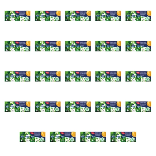 1773271547929-5808-2-x24-9fbbcs.png