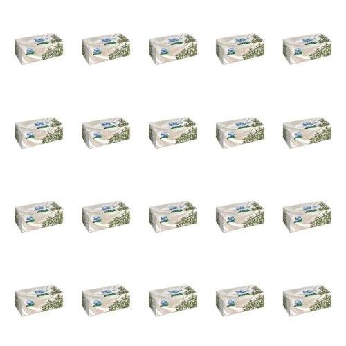 1773272672580-7264-2-x20-lgpg7.png
