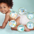 1771868210168-291-5-up3eco.jpg