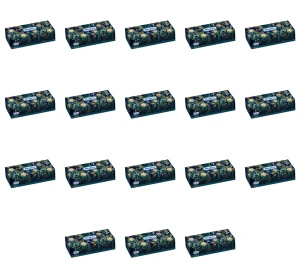 Chusteczki kosmetyczne Regina Harmonia 100 sztuk X18