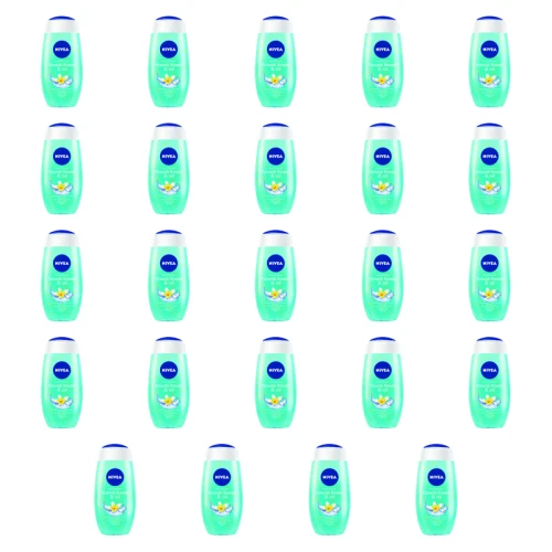 1773270259798-4068-2-x24-othjl.png