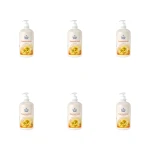 Family Fresh Żel pod prysznic bogactwo miodu 1000ml X6