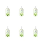 Family Fresh Żel pod prysznic wiosenny deszcz 1000ml X6