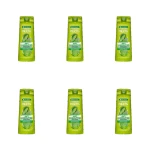 Garnier Fructis Antidandruff 2in1 szampon przeciwłupieżowy 400 ml X6