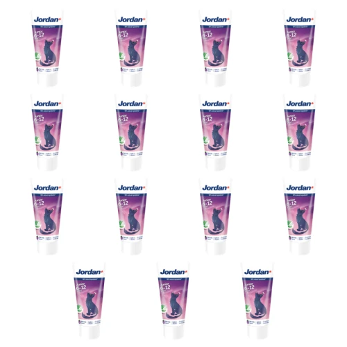 1773274896909-10510-2-x15-ddm57.png