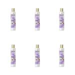 Pantene Silky and Glowing Szampon z biotyną i keratyną 250 ml X6