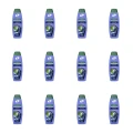 1773275373766-11217-2-x12-mgxkgn.png