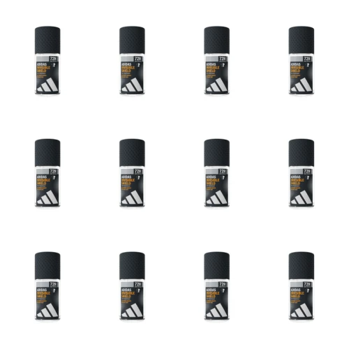 1773276281346-12463-2-x12-rtlbcc.png
