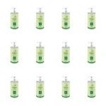 NUTKA MYDŁO ALOES 400ML X12