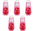 image-editor%2Fmultipack%2F1777030894861-r493-c1-x5.png