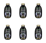 Garnier Botanic Therapy Węgiel Aktywny i Olej z Czarnuszki szampon do włosów 400 ml X6