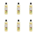 Lux Botanicals Ylang Ylang & Cica Żel pod prysznic 480ml X6