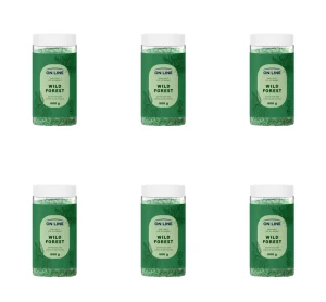 ON LINE sól do kąpieli Wild Forest 800g X6