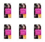 L'Oréal Paris Casting Crème Gloss Farba do włosów 200 Hebanowa czerń 180 ml X6