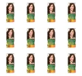 image-editor%2Fmultipack%2F1777031496539-r1075-c1-x12.png