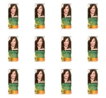 Garnier Color Naturals Créme Farba do włosów 4 Brąz 110 ml X12