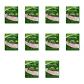 1773272676450-7270-2-x10-b1xuuk.png