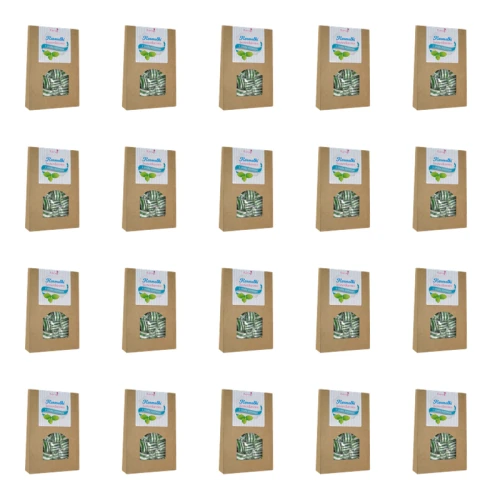 1773273576638-8591-2-x20-k52iur.png