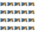 image-editor%2Fmultipack%2F1777033310150-r2811-c1-x20.png