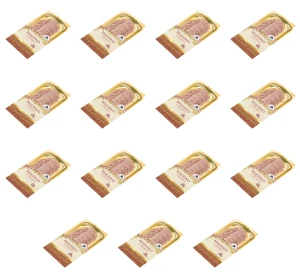 Mięsiwo w galarecie plastry 100G ZMB X15
