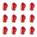1773272129245-6526-2-x12-0igp0s.png