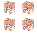 image-editor%2Fmultipack%2F1777032825167-r2361-c1-x4.png